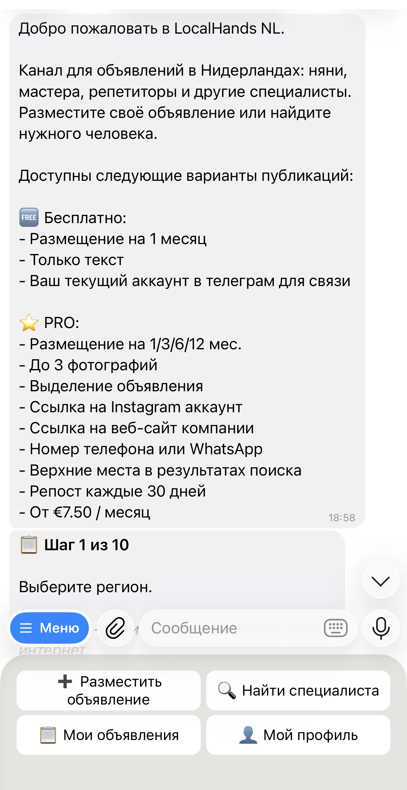 Бот LocalHands NL перечисляет, что входит в бесплатное размещение и в тариф PRO